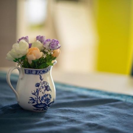Apartment Dunja Novi Sad Eksteriør billede
